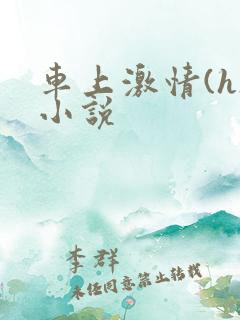 车上激情(h)小说