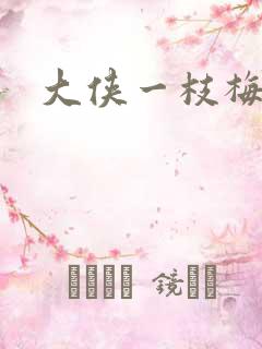大侠一枝梅