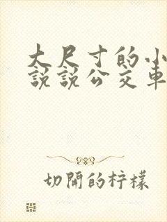 大尺寸的小黄车说说公交车