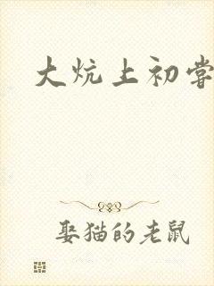 大炕上初尝云雨