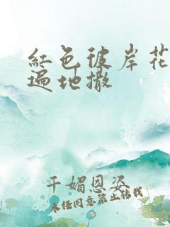 红色彼岸花花瓣遍地撒