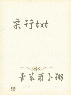 宋行txt