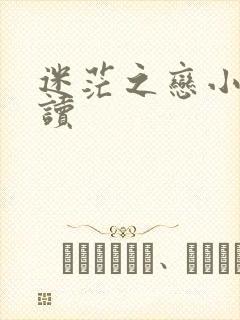 迷茫之恋小说阅读