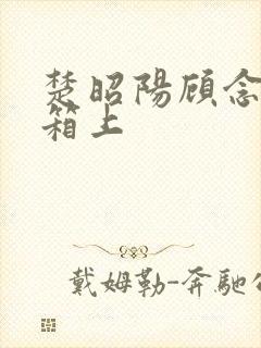 楚昭阳顾念在冰箱上