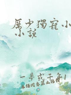 厉少独宠小娇妻 小说