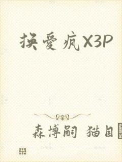 换爱疯X3P