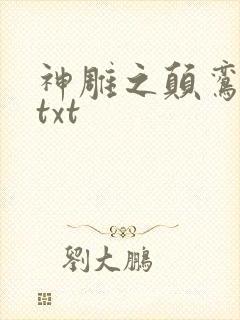 神雕之颠鸾倒凤txt