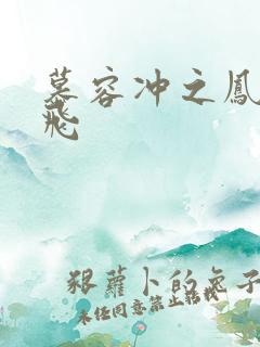 慕容冲之凤凰于飞