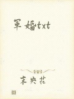 军婚txt