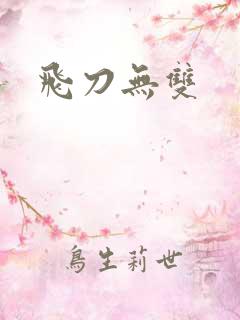飞刀无双