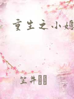 重生之小媳妇