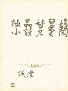 极品好儿媳苏灿小说免费阅读