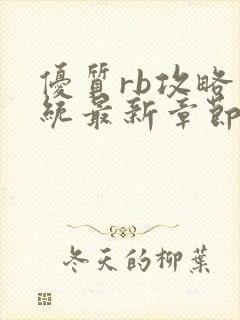 优质rb攻略系统最新章节