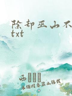 除却巫山不是云txt