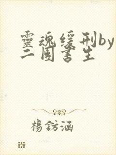 灵魂缓刑by 二团书生