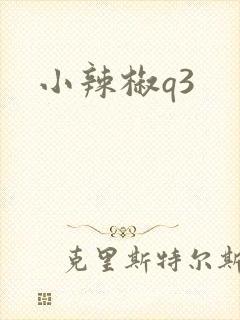 小辣椒q3