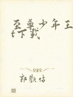 至尊少年王txt下载