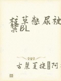 校草憋尿被揉失禁BL