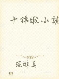 十锦缎小说