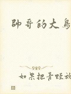 帅哥的大鸟