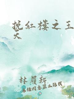 挽红楼之玉舞九天