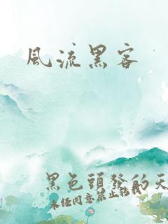 风流黑客