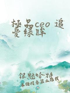 极品ceo 追爱绿眸