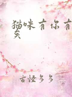 猫咪有你有我足矣