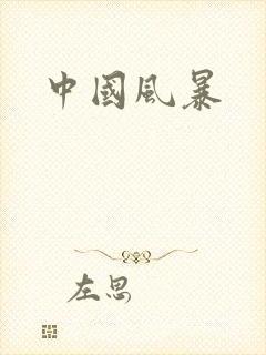 中国风暴