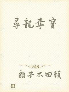 寻龙夺宝