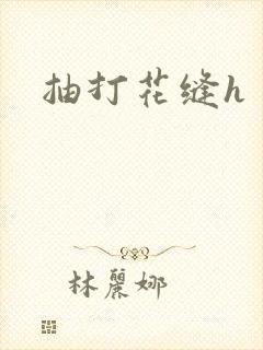 抽打花缝h
