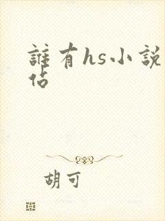 谁有hs小说网站