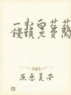 一对白花花的大馒头免费阅读