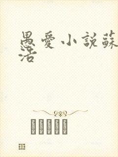 愚爱小说苏倩孙浩