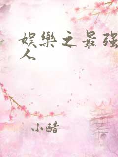 娱乐之最强经纪人