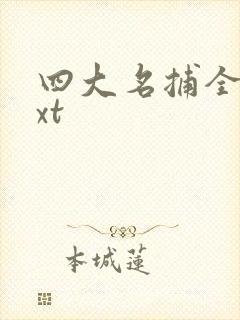 四大名捕全集txt