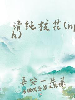 清纯校花(nph)