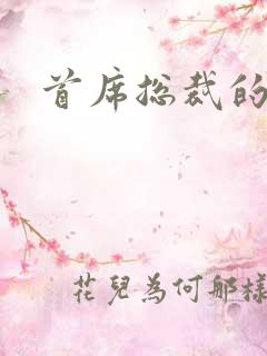 首席总裁的逃妻