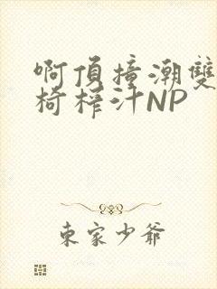 啊顶撞潮双H龙椅榨汁NP