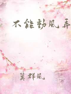 不能动风弄