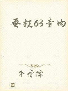 蚕枝63章肉