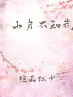 山月不知我心事