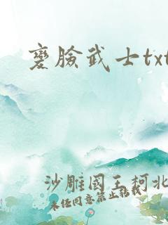 变脸武士txt