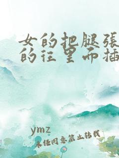 女的把腿张开男的往里面插