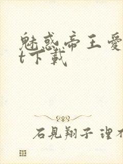 魅惑帝王爱txt下载