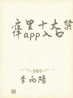 夜里十大禁用软件app入口