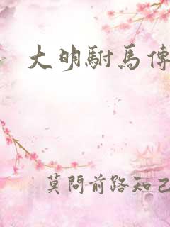大明驸马传