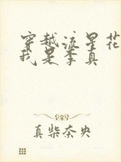 穿越流星花园之我是李真