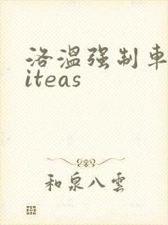 洛温强制车writeas