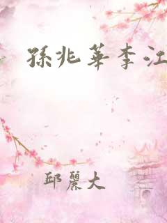 孙兆华李江小说